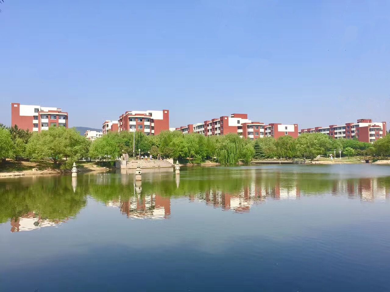 1590543924954045.jpg